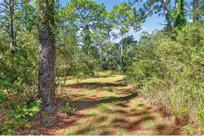 8680 N Meyer Square, Dunnellon, FL 34433 - Photo 63