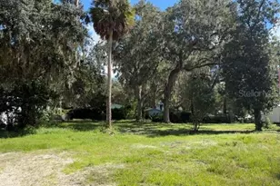 3687 Cr 405Dw, Lake Panasoffkee, FL 33538 - Photo 1