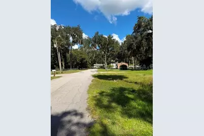3687 Cr 405Dw, Lake Panasoffkee, FL 33538 - Photo 3