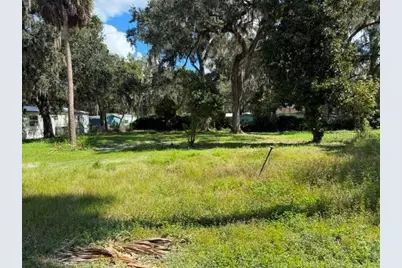 3687 Cr 405Dw, Lake Panasoffkee, FL 33538 - Photo 5