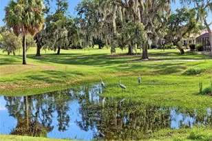 440 Carrera Dr, The Villages, FL 32159 - Photo 75