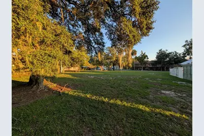 731 Liberty Avenue, Mount Dora, FL 32757 - Photo 13