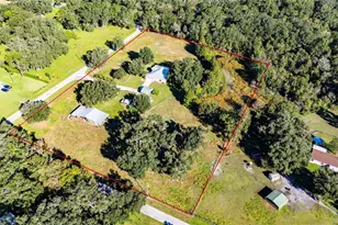4389 Cr 317B, Bushnell, FL 33513 - Photo 53