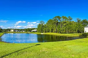 46 Osprey Mills Ln, Saint Augustine, FL 32092 - Photo 35
