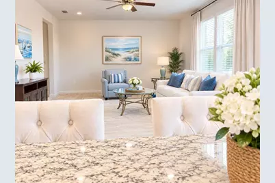 46 Osprey Mills Lane, Saint Augustine, FL 32092 - Photo 3