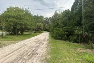 11356 N Young Dr, Dunnellon, FL 34433 - Photo 1