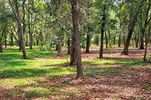Rolling Acres Rd, Lady Lake, FL 32159 - Photo 1