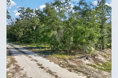 Se 41st Terrace, Summerfield, FL 34491 - Photo 13