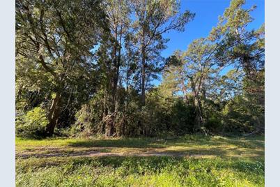 Tbd SE 5th Avenue, Lake Butler, FL 32054 - Photo 9