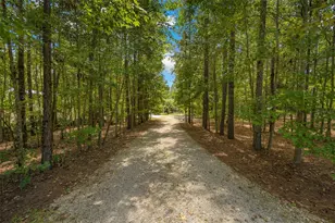 10117 NW 132nd Dr, Alachua, FL 32615 - Photo 5