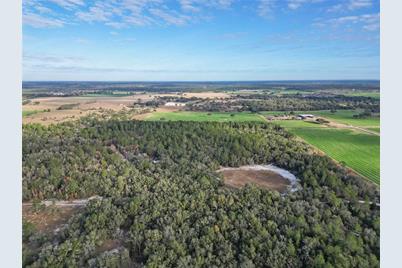 10431 NE 32nd Lane, Bronson, FL 32621 - Photo 5