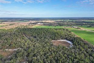 10431 NE 32 Ln, Bronson, FL 32621 - Photo 5