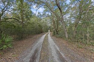 10431 NE 32 Ln, Bronson, FL 32621 - Photo 21