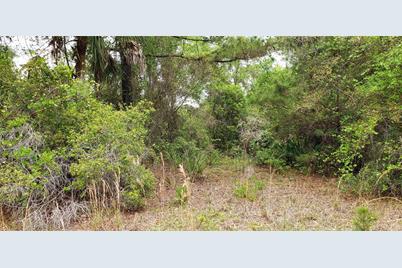 Sw County Road 242A, Lake City, FL 32056 - Photo 3