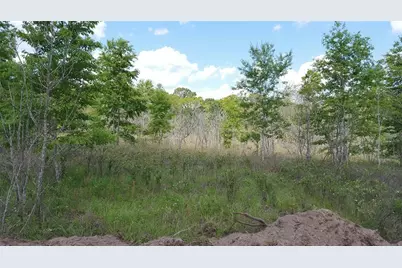Sw County Road 242A, Lake City, FL 32056 - Photo 1