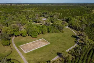 12275 W Hwy 318, Reddick, FL 32686 - Photo 11