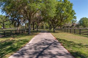 12275 W Hwy 318, Reddick, FL 32686 - Photo 11