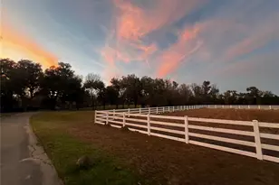 12275 W Hwy 318, Reddick, FL 32686 - Photo 87