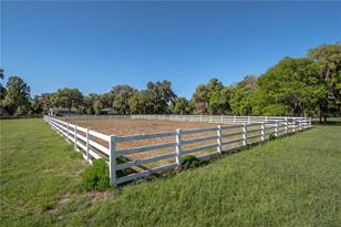 12275 W Hwy 318, Reddick, FL 32686 - Photo 21