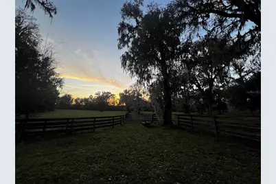 12275 W Highway 318, Reddick, FL 32686 - Photo 85