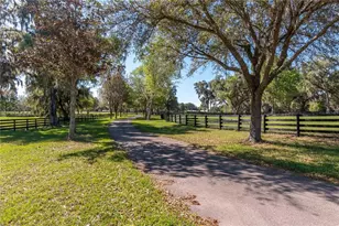 12275 W Hwy 318, Reddick, FL 32686 - Photo 67