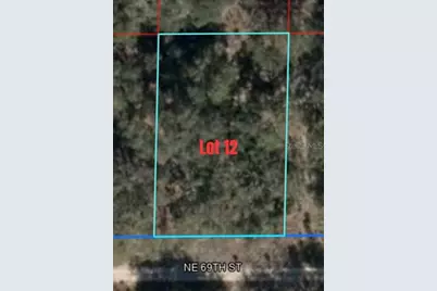 Ne 69th Street, Williston, FL 32696 - Photo 1