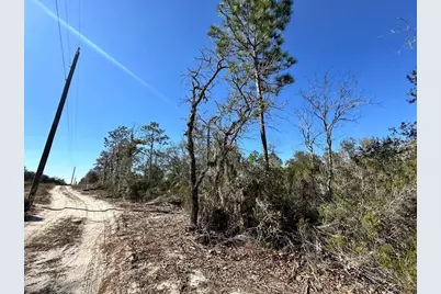 Ne 63rd Place, Williston, FL 32696 - Photo 3