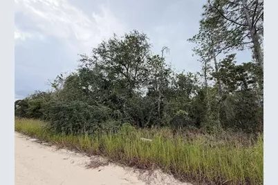 Ne 66th Lane, Williston, FL 32696 - Photo 3