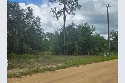 Tbd David Drive, Interlachen, FL 32148 - Photo 7