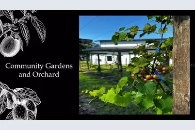 6023 SW 124th Way, Archer, FL 32618 - Photo 13