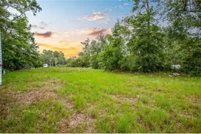400 Coastal Oak Lane NW, Steinhatchee, FL 32359 - Photo 13