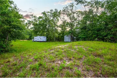400 Coastal Oak Lane NW, Steinhatchee, FL 32359 - Photo 11