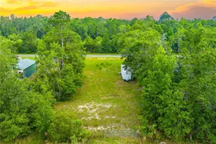 400 Coastal Oak Ln NW, Steinhatchee, FL 32359 - Photo 1