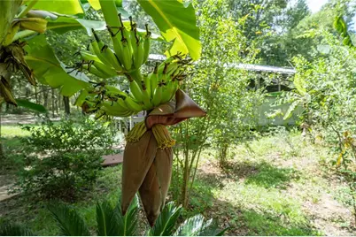 250 W West Lake Drive, Hawthorne, FL 32640 - Photo 83