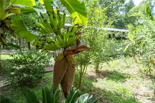 250 W West Lake Dr, Hawthorne, FL 32640 - Photo 47