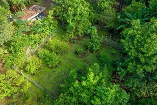 250 W West Lake Dr, Hawthorne, FL 32640 - Photo 53