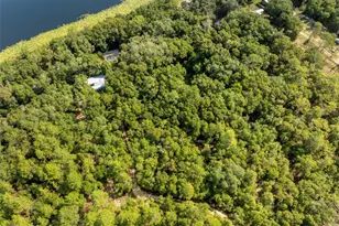 250 W West Lake Dr, Hawthorne, FL 32640 - Photo 93