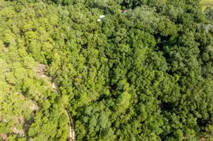 250 W West Lake Dr, Hawthorne, FL 32640 - Photo 89