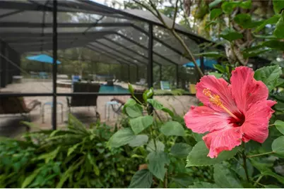 250 W West Lake Drive, Hawthorne, FL 32640 - Photo 17