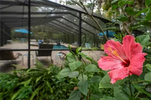 250 W West Lake Dr, Hawthorne, FL 32640 - Photo 17