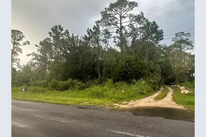 805 1st Avenue SE, Steinhatchee, FL 32359 - Photo 7