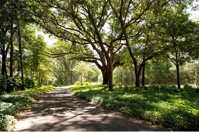 1101 SW 136th Street, Newberry, FL 32669 - Photo 39