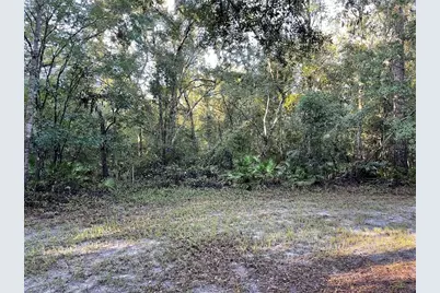 Tbd SW 188th Place, Mc Alpin, FL 32062 - Photo 1