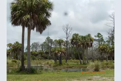 Lot 7 SW 104 Street, Cedar Key, FL 32625 - Photo 9