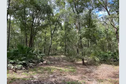 8232 Swan Lake Road, Melrose, FL 32666 - Photo 17