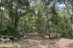 8232 Swan Lake Rd, Melrose, FL 32666 - Photo 17