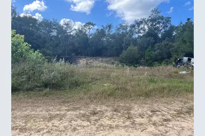 4800 Cypress Street, Keystone Heights, FL 32656 - Photo 9