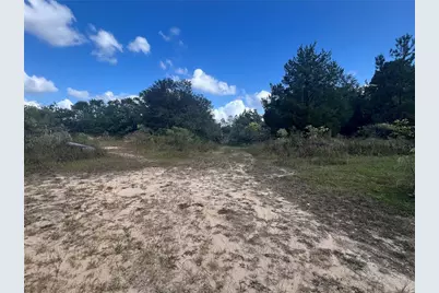 4800 Cypress Street, Keystone Heights, FL 32656 - Photo 7