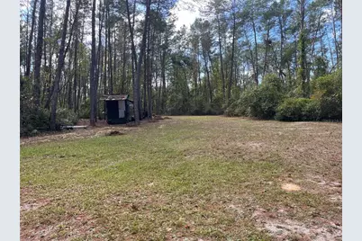 0 5th Street, Altoona, FL 32702 - Photo 9