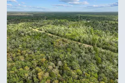 310 N Otter Creek Avenue, Bronson, FL 32621 - Photo 7